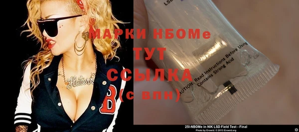 шишки Алексин
