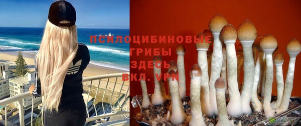 spice Алексеевка